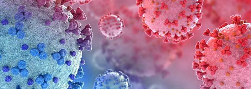enfermedades infecciosas